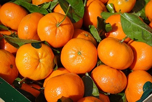 WhatsApp Image 2022-08-10 at 12.14.49 AM (3)