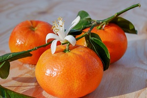 WhatsApp Image 2022-08-10 at 12.14.49 AM (4)